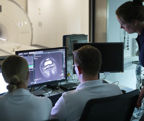 Klinik für Pferde LMU München - unsere Vision